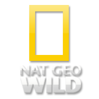 Nat Geo WILD